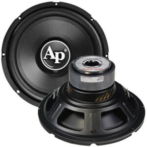 AUDIOPIPE TS-PP2-12-D4