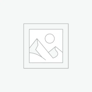 rockford-fosgate-dsr1